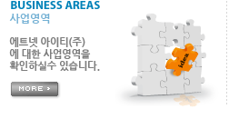 사업영역
